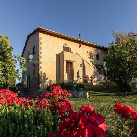 Agriturismo Casanova Asciano Dış mekan fotoğraf