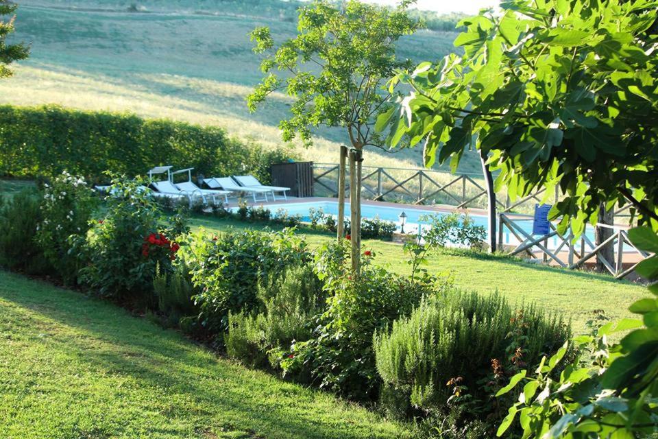 Agriturismo Casanova Asciano Dış mekan fotoğraf