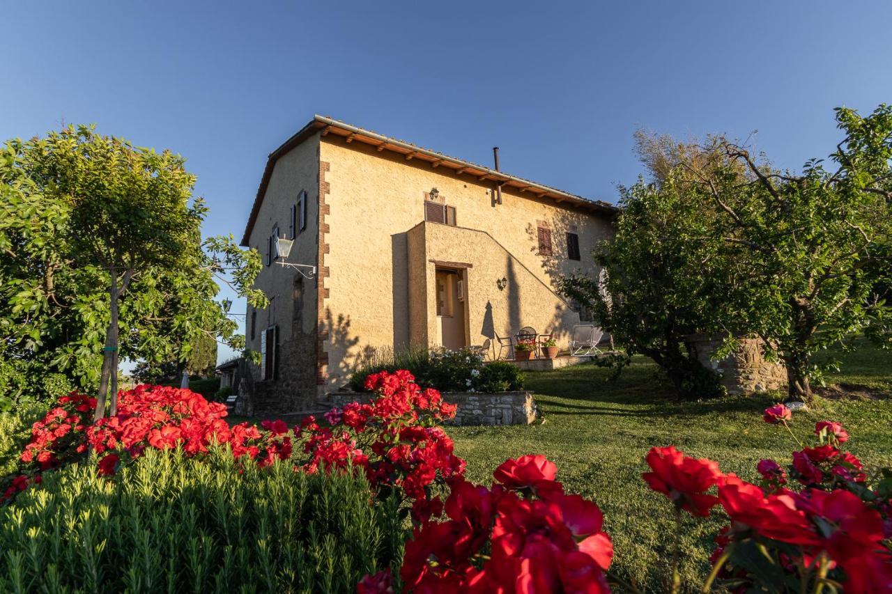 Agriturismo Casanova Asciano Dış mekan fotoğraf